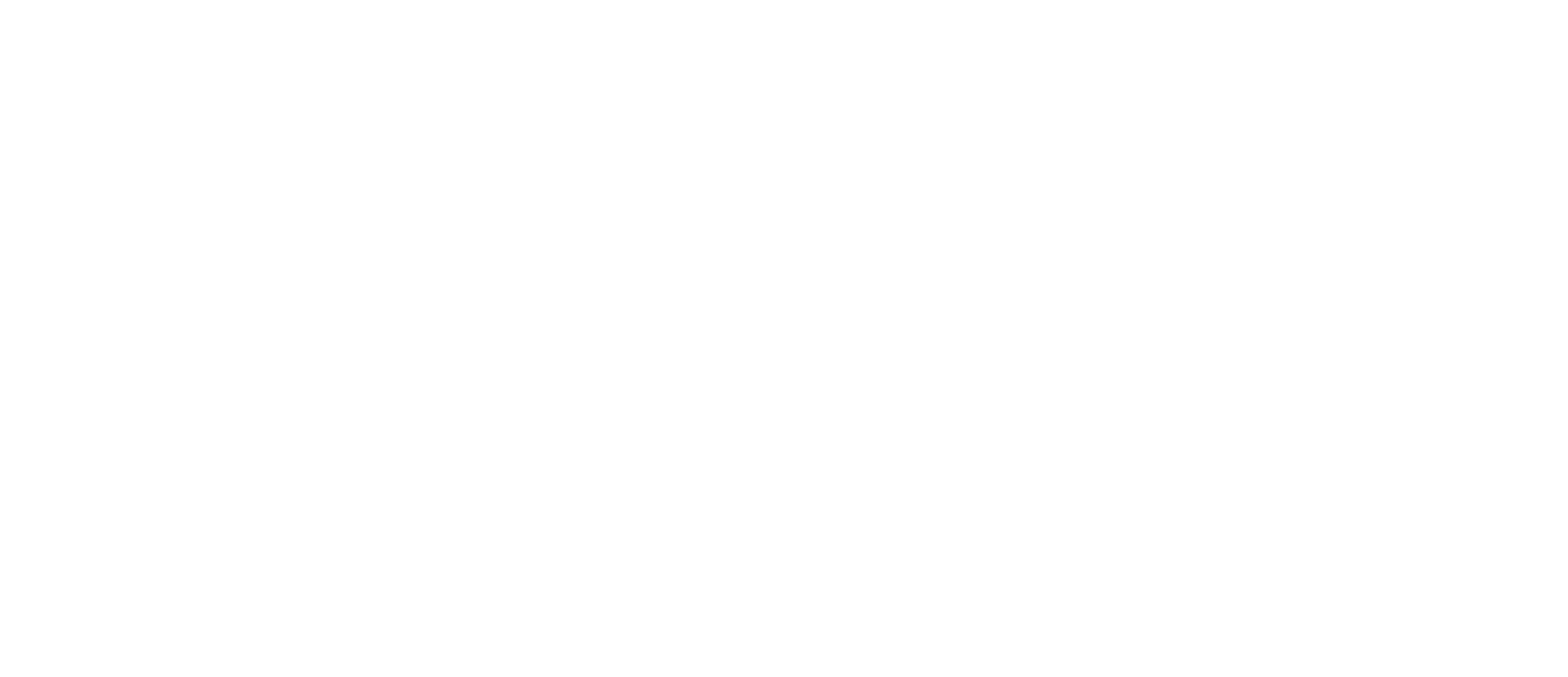Austin Bolo