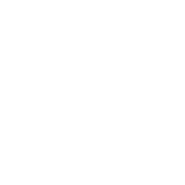 Austin Bolo